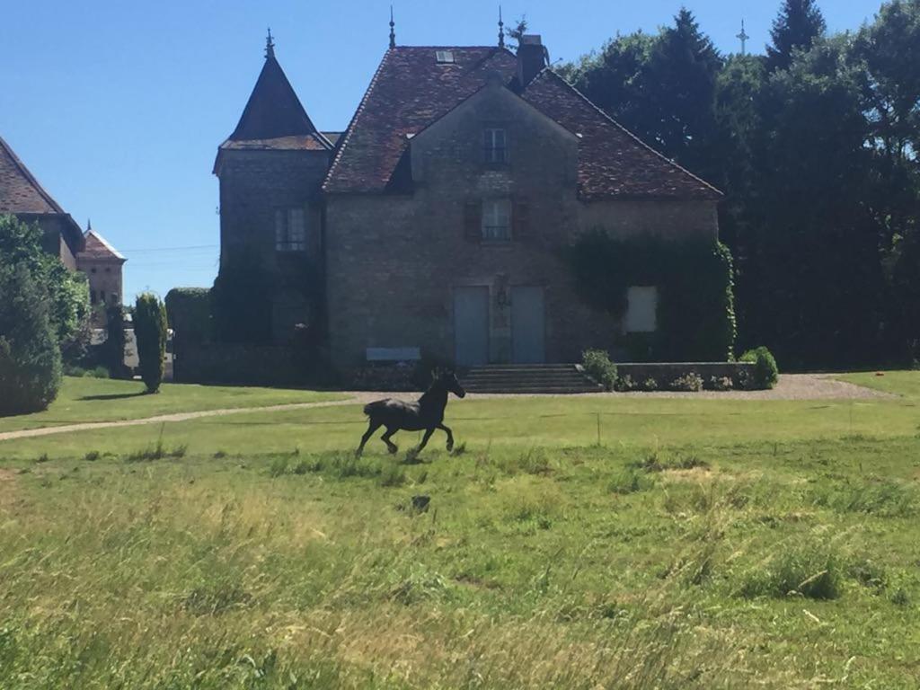 Au Chateau Apartment Miserey-Salines Bagian luar foto